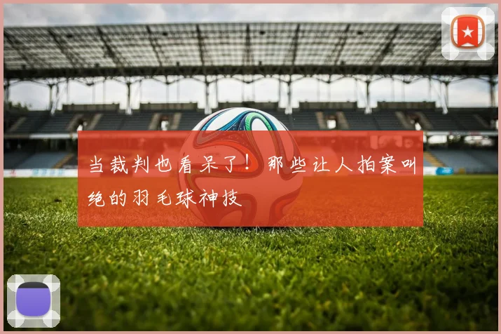 当裁判也看呆了！那些让人拍案叫绝的羽毛球神技