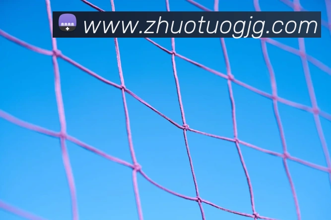 乐鱼体育官方网站品牌故事